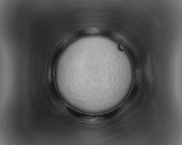 X0000083590267200703021853