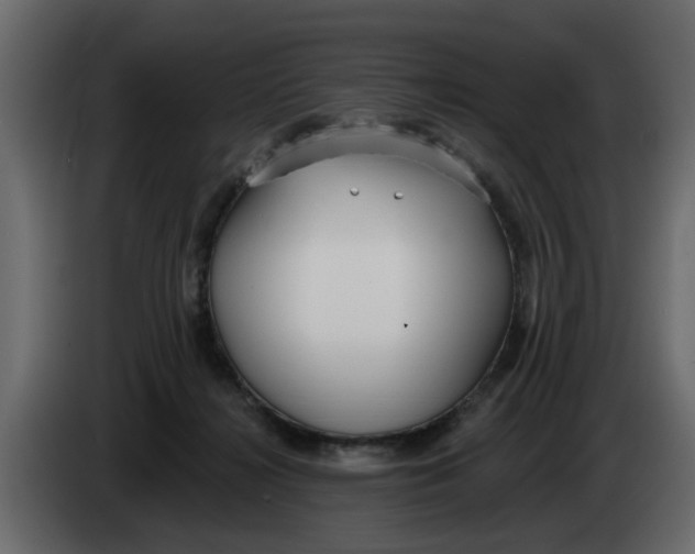X0000083590268200703021853