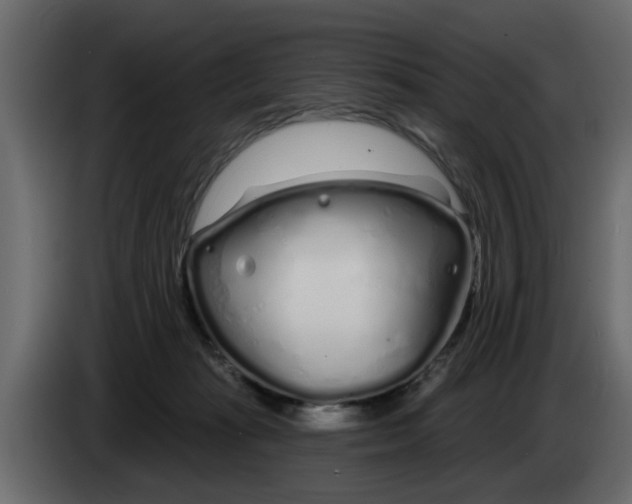 X0000083590269200703021853