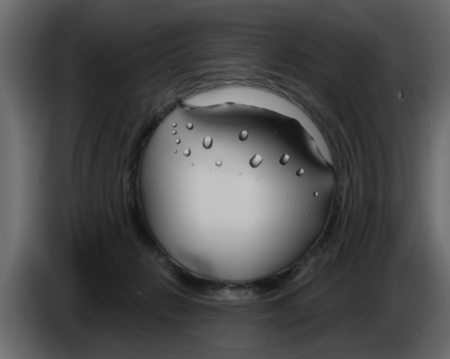 X0000083590270200703021853
