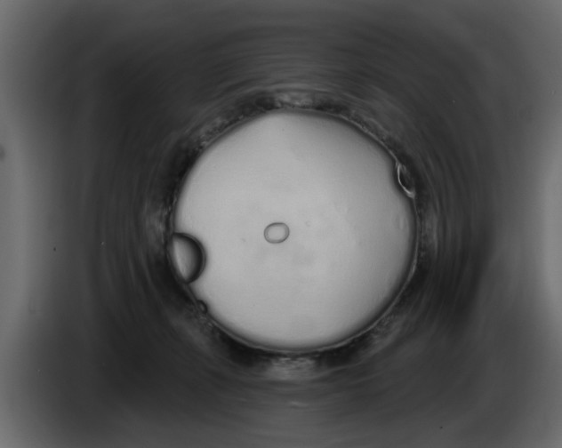 X0000083590271200703021853