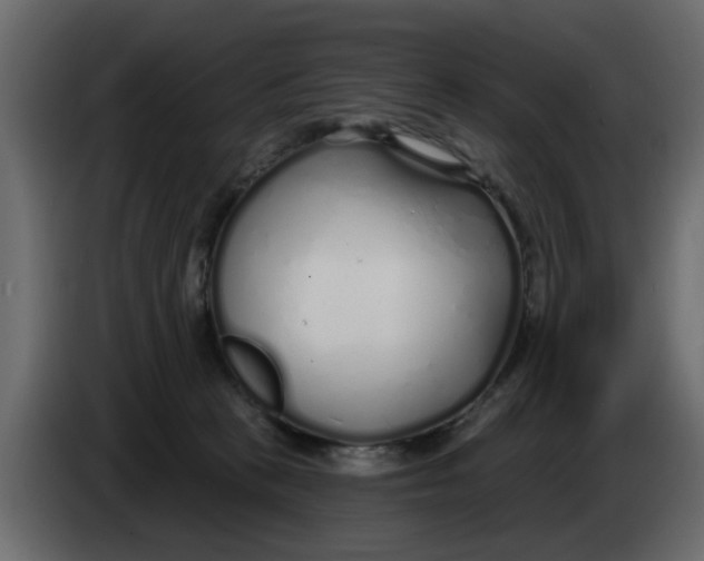 X0000083590273200703021853