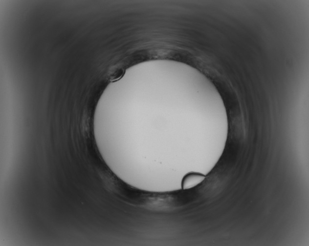X0000083590274200703021853