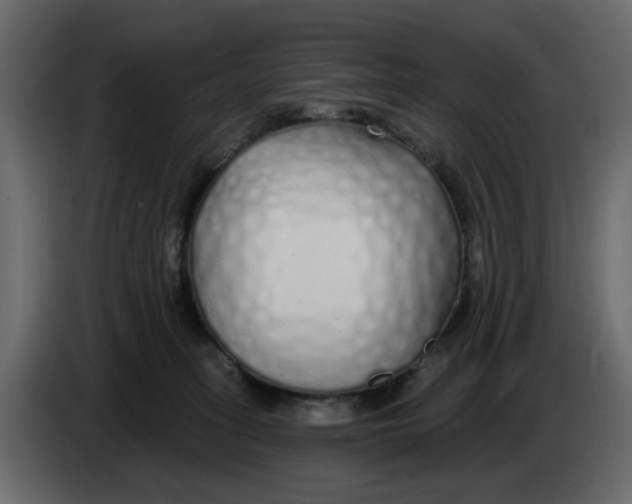 X0000083590275200703021853