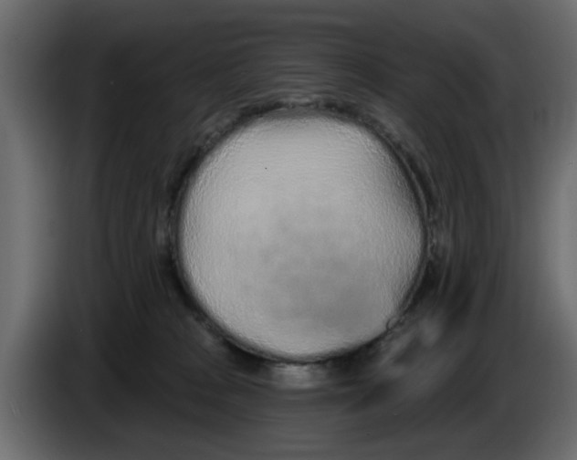 X0000083590277200703021853