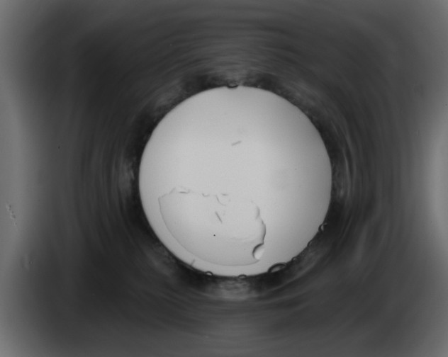 X0000083590279200703021853