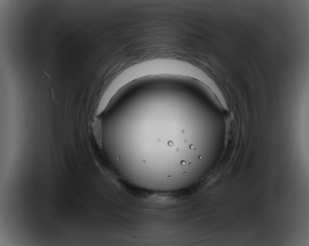 X0000083590280200703021853