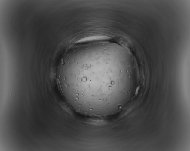 X0000083590284200703021853