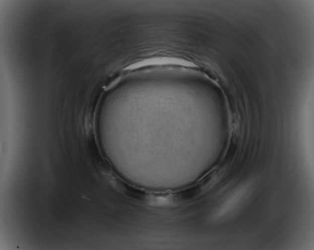 X0000083590285200703021853