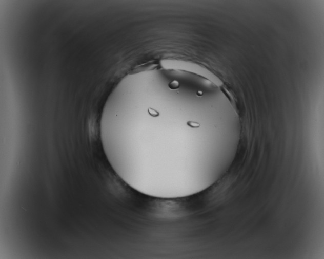 X0000083590287200703021853