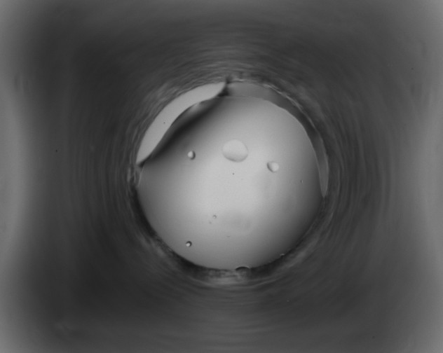 X0000083590288200703021853