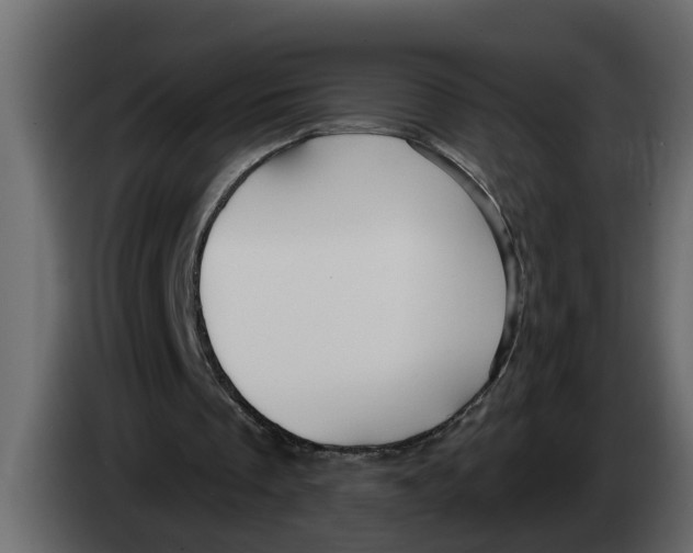 X0000083590289200703021852