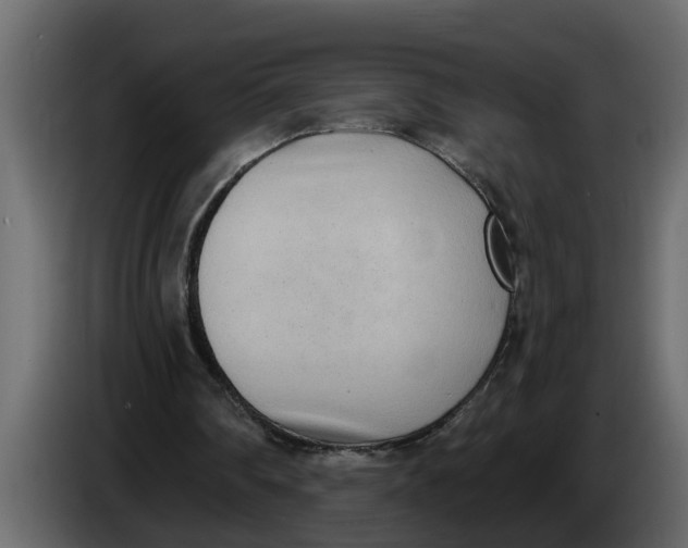 X0000083590290200703021852