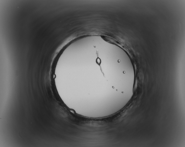 X0000083590292200703021852