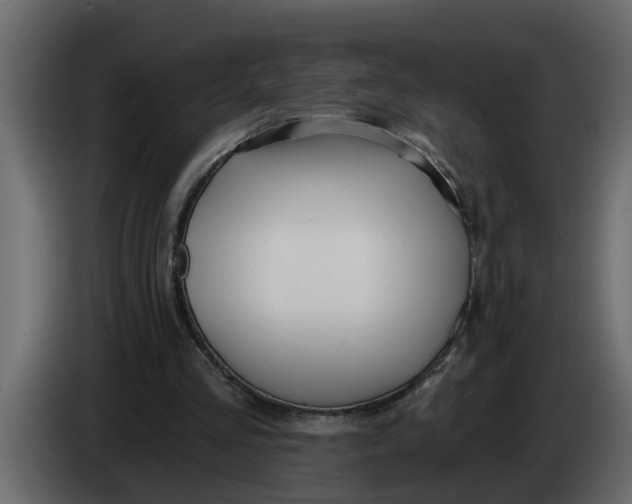 X0000083590293200703021852