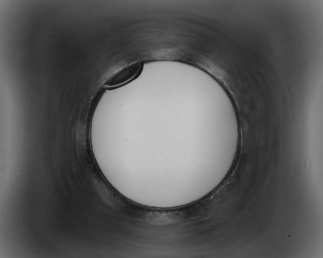 X0000083590297200703021852