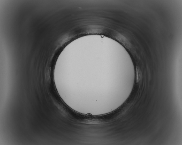 X0000083590300200703021852
