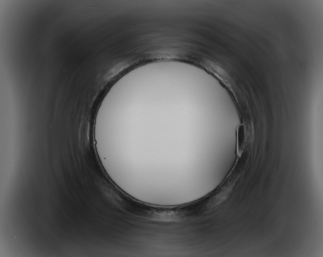 X0000083590301200703021852