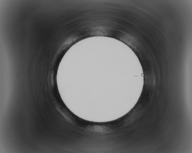 X0000083590302200703021852