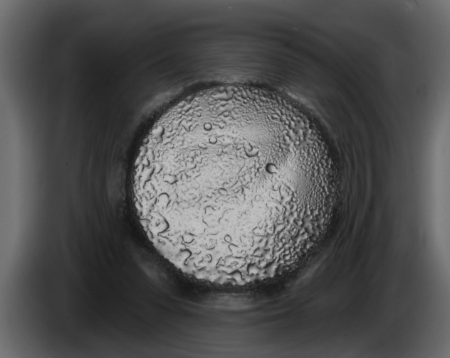 X0000083590303200703021852