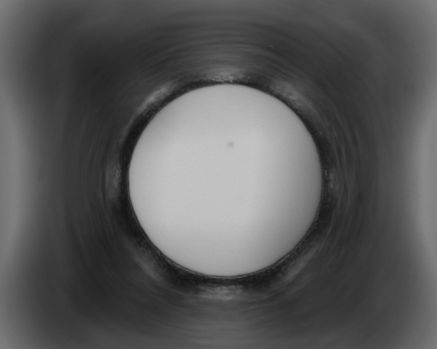X0000083590304200703021852