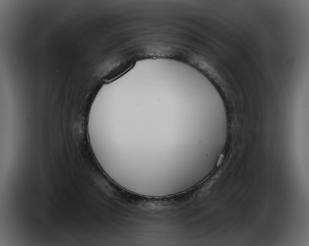 X0000083590305200703021852