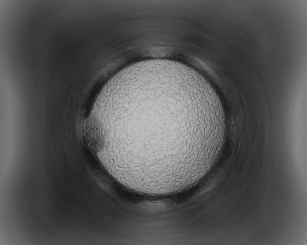 X0000083590307200703021852