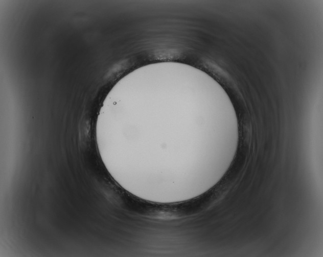 X0000083590308200703021852