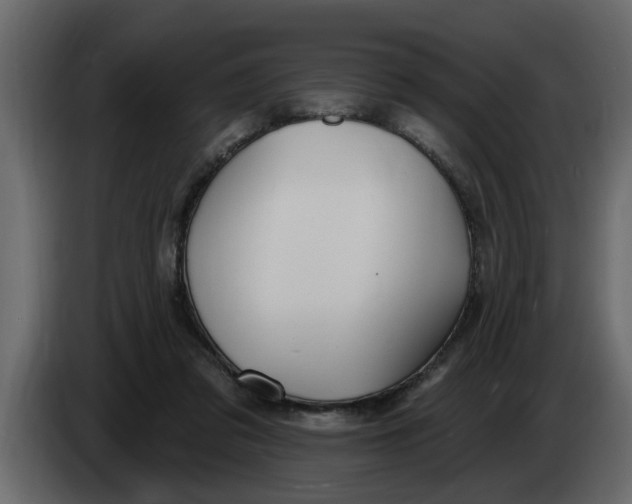 X0000083590309200703021852