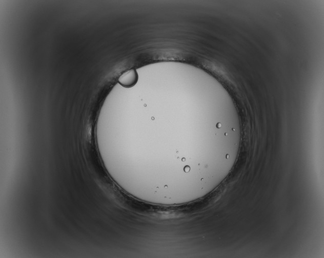 X0000083590310200703021852
