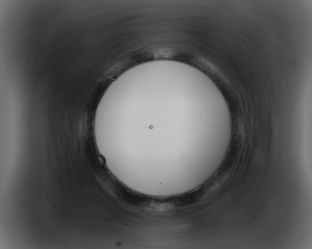 X0000083590311200703021852