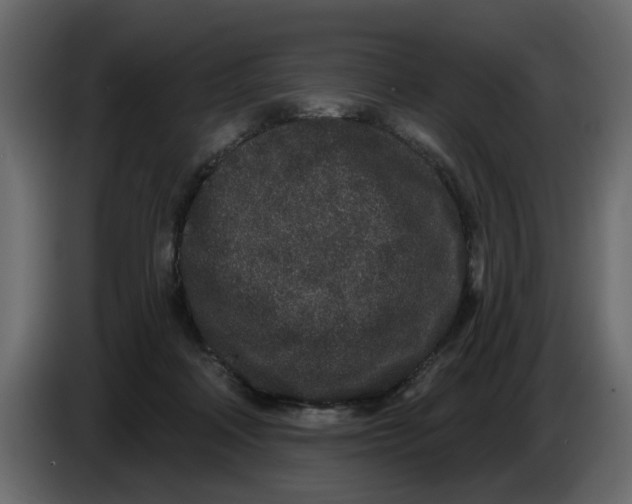 X0000083590314200703021852