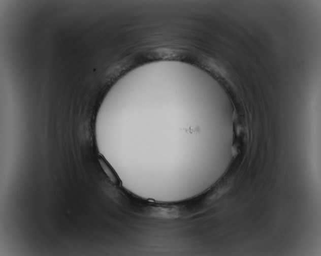 X0000083590317200703021852