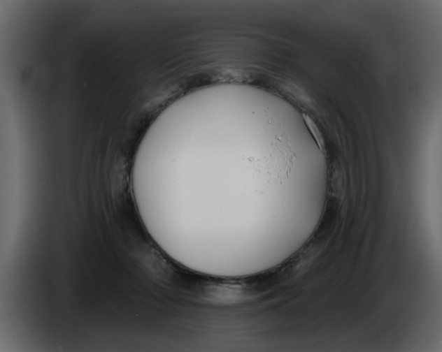 X0000083590318200703021852
