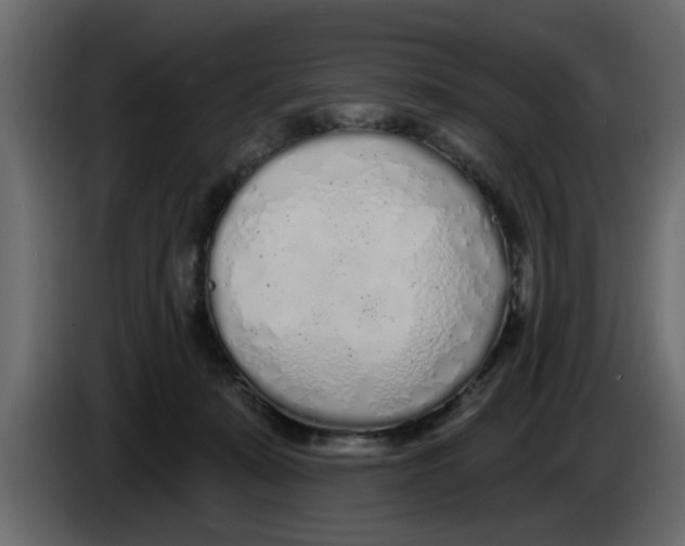 X0000083590319200703021852