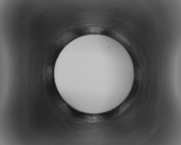 X0000083590321200703021852