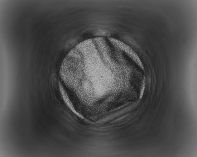 X0000083590322200703021852