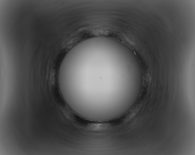 X0000083590323200703021852