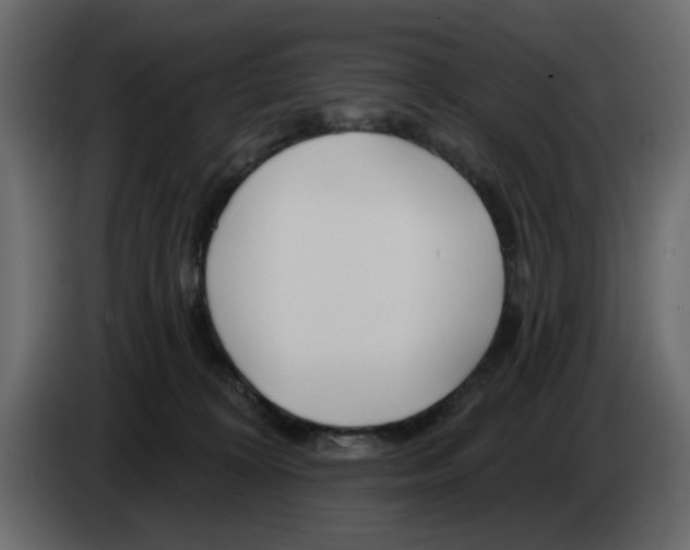 X0000083590324200703021852