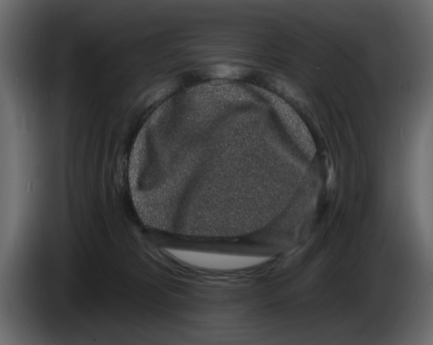 X0000083590325200703021852