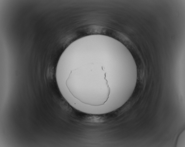 X0000083590326200703021852