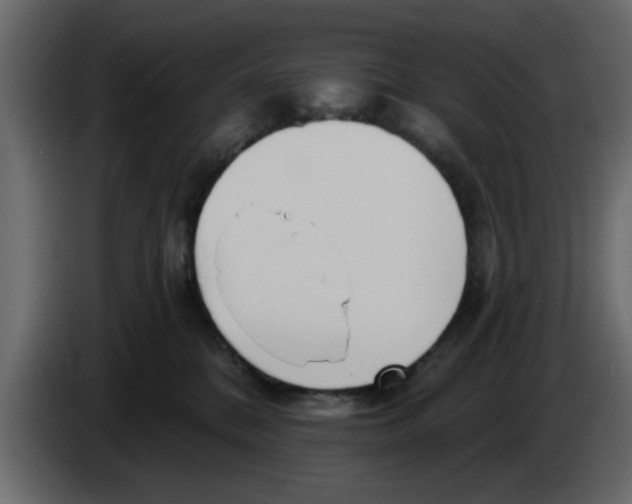 X0000083590328200703021852
