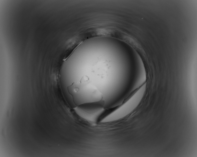 X0000083590329200703021852