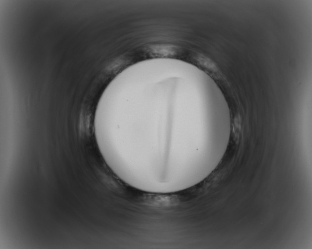 X0000083590330200703021852