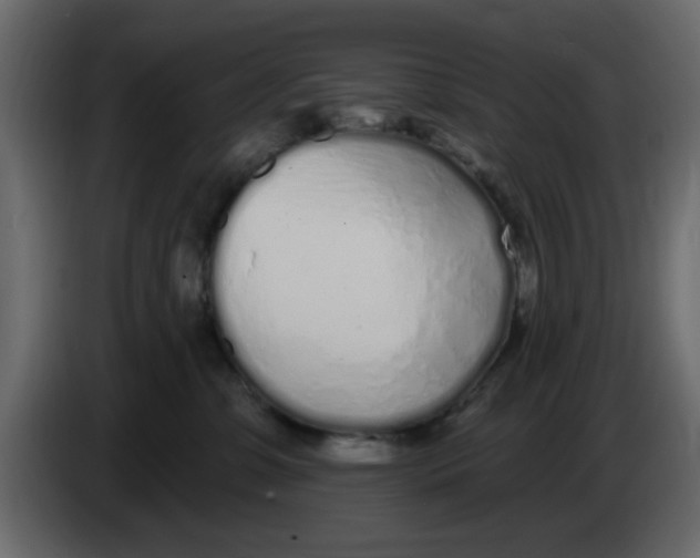 X0000083590331200703021852