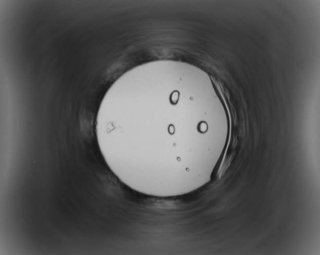 X0000083590332200703021852
