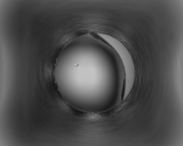 X0000083590333200703021852