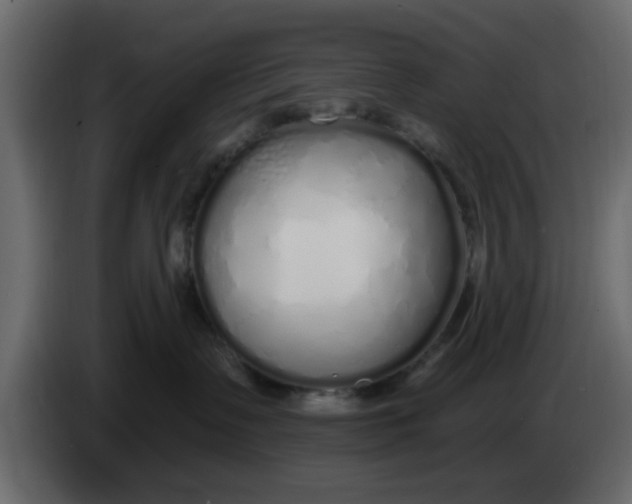 X0000083590335200703021852
