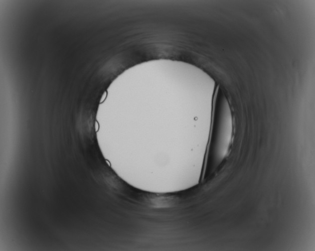X0000083590336200703021852