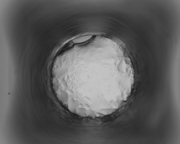 X0000083590337200703021851